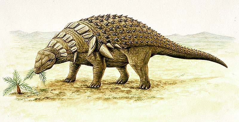 Edmontonia