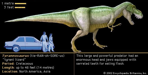 tyrannosaurus
