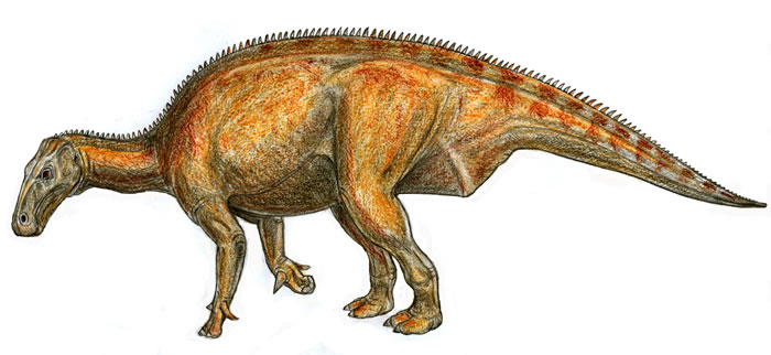 Lurdusaurus