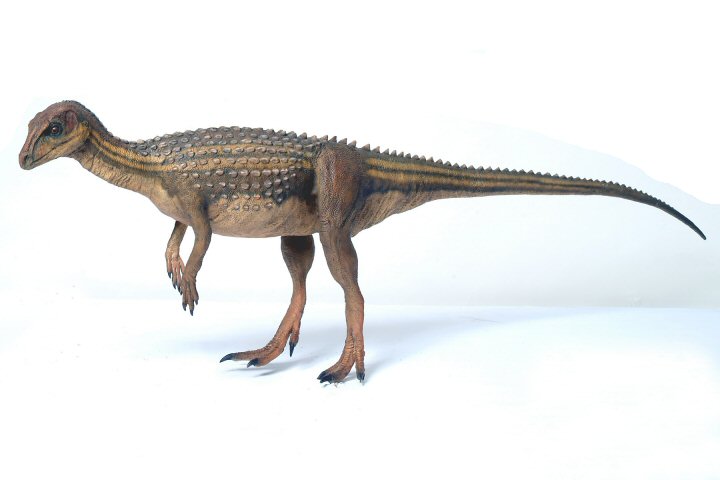 Scutellosaurus