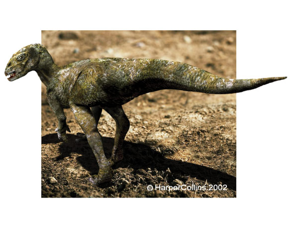 Heterodontosaurus