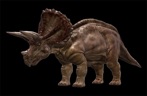 triceratops