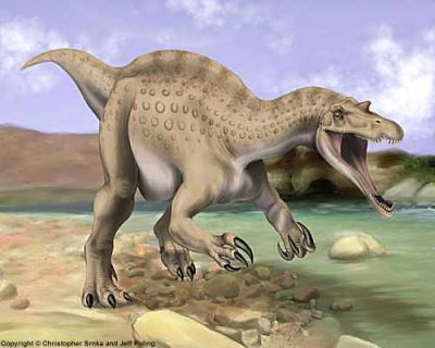 Suchomimus