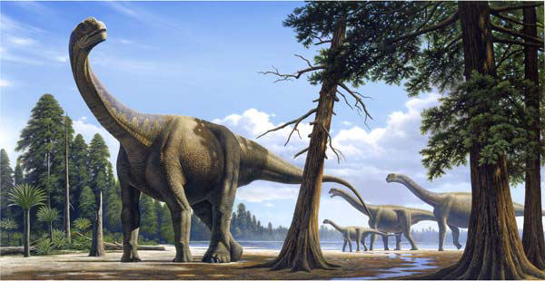 camarasaurus