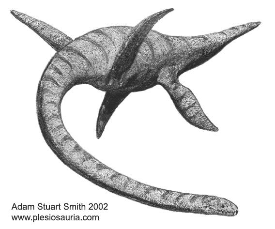 plesiosaurus