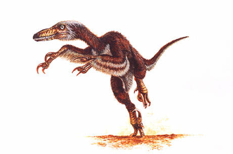 velociraptor