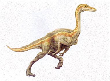 Ornithomimus