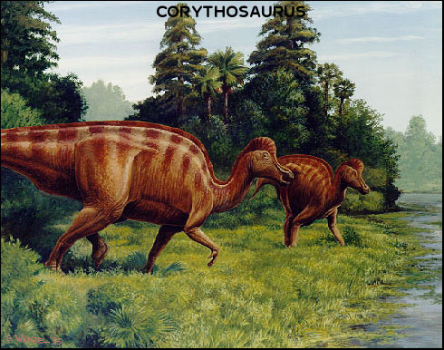 CORYTHOSAURUS