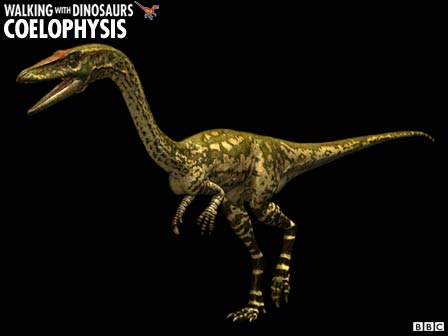 coelophysis