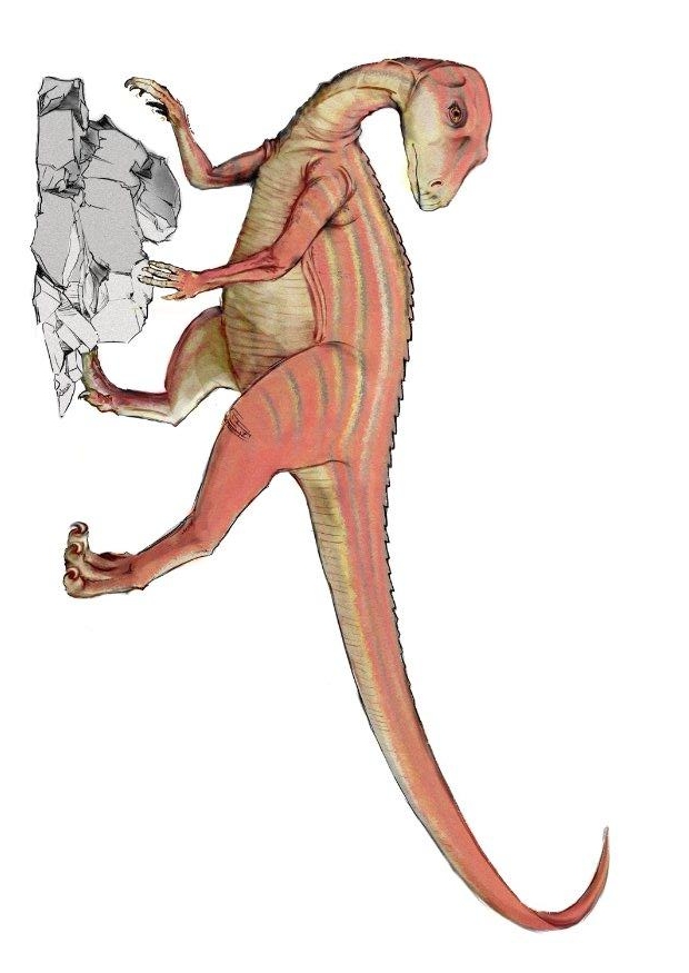 Abrictosaurus