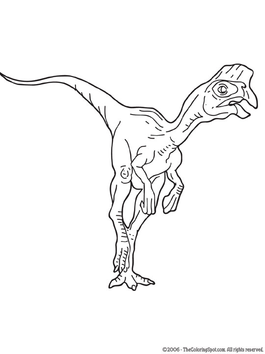 oviraptor.jpg