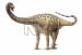 Magyarosaurus 