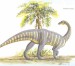Riojasaurus 