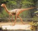 compsognathus