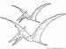 pterosaur.jpg